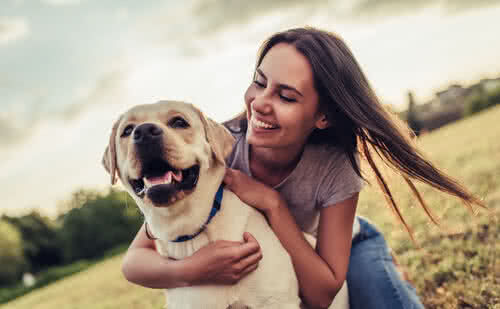 Q2_2025_Versicherungen_Beitrage_Hundehalter_Haftpflicht_1280x790px6-1751320493.jpg