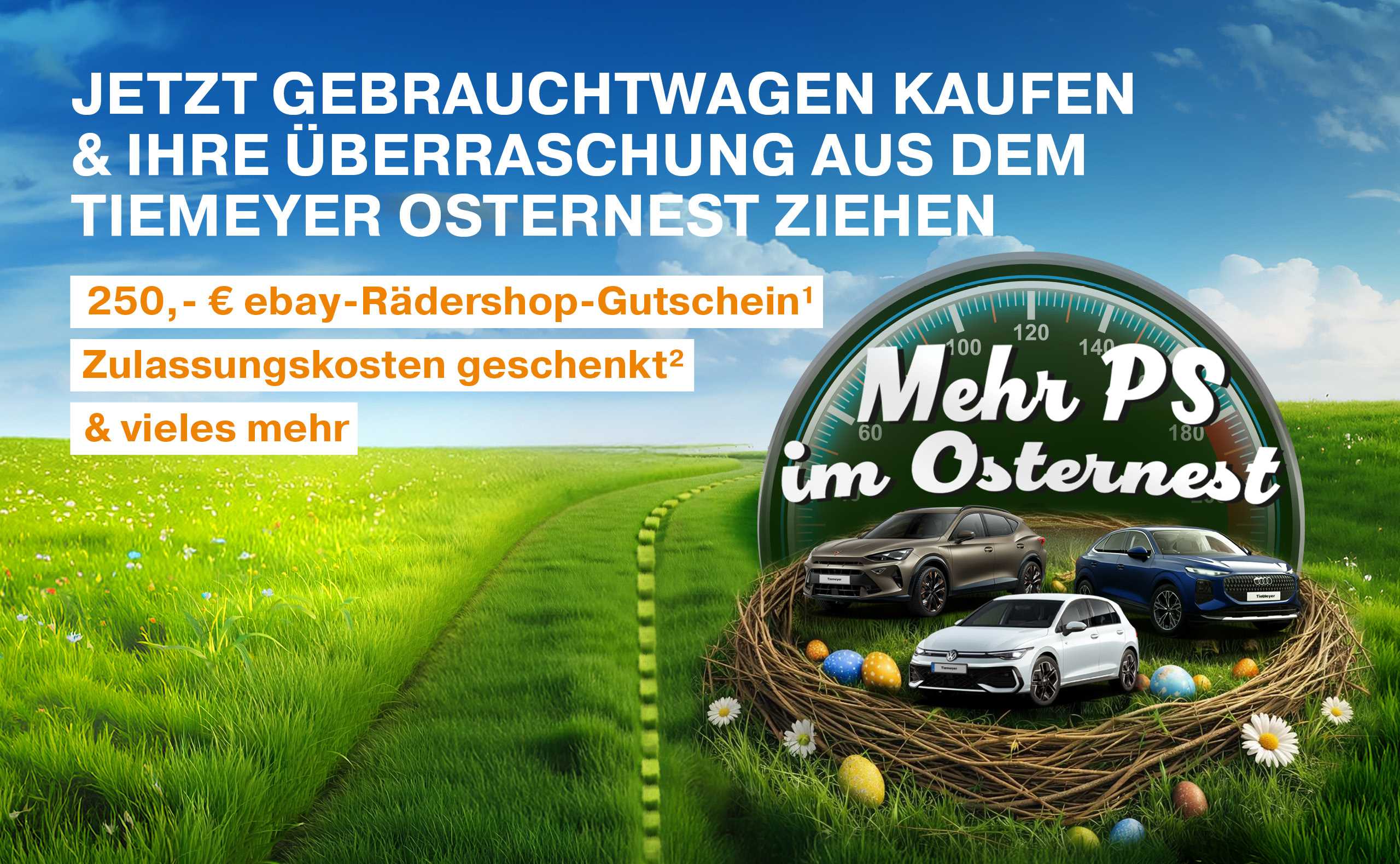 Tiemeyers Osterüberraschung