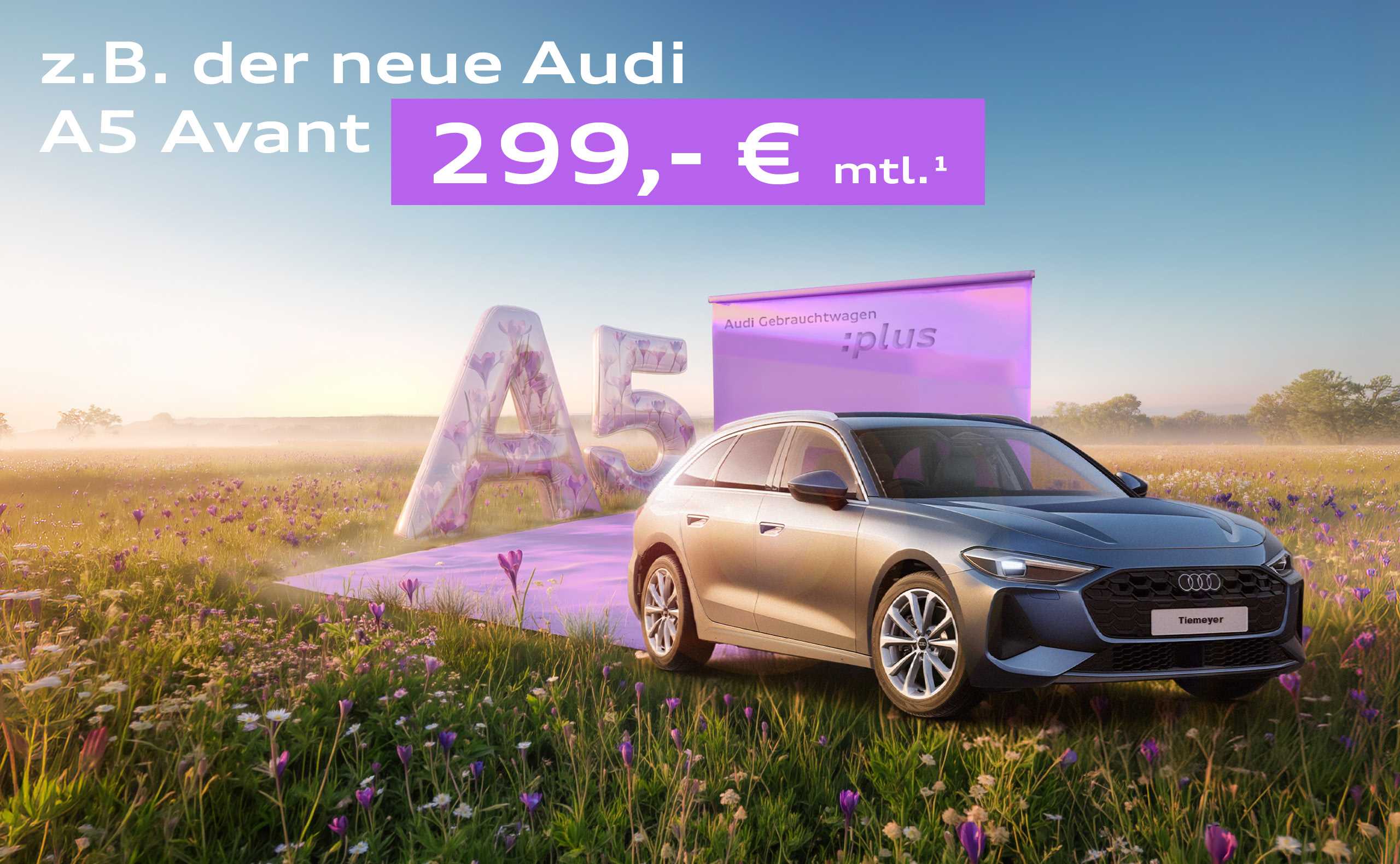 Audi Gebrauchtwagen :plus Wochen!