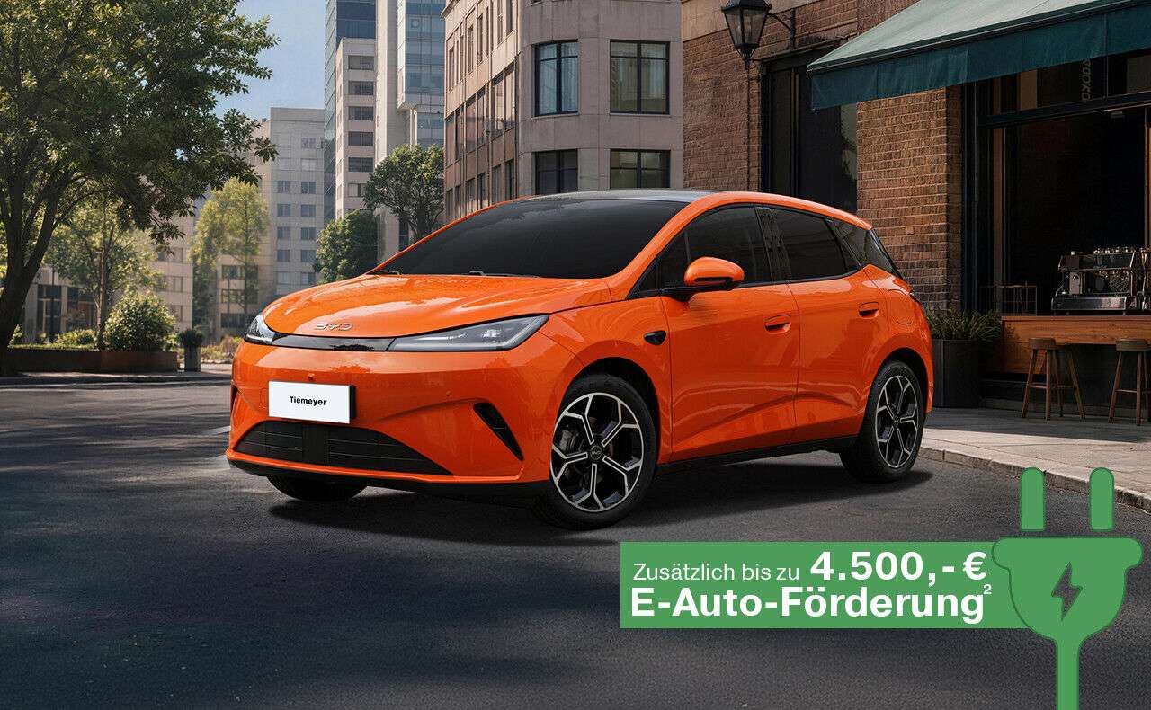 Der BYD DOLPHIN G DM-i