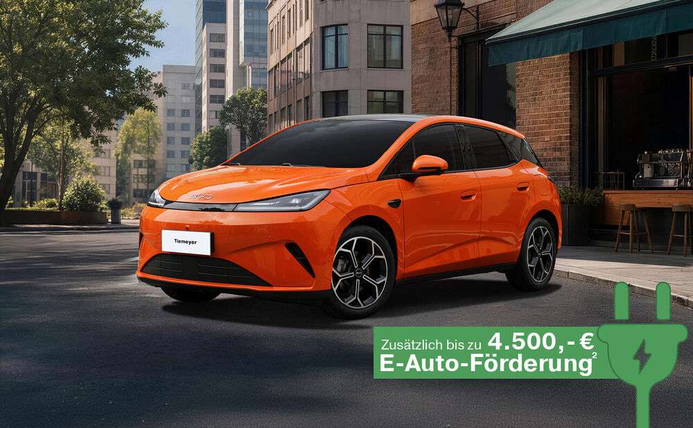 Der BYD DOLPHIN G DM-i