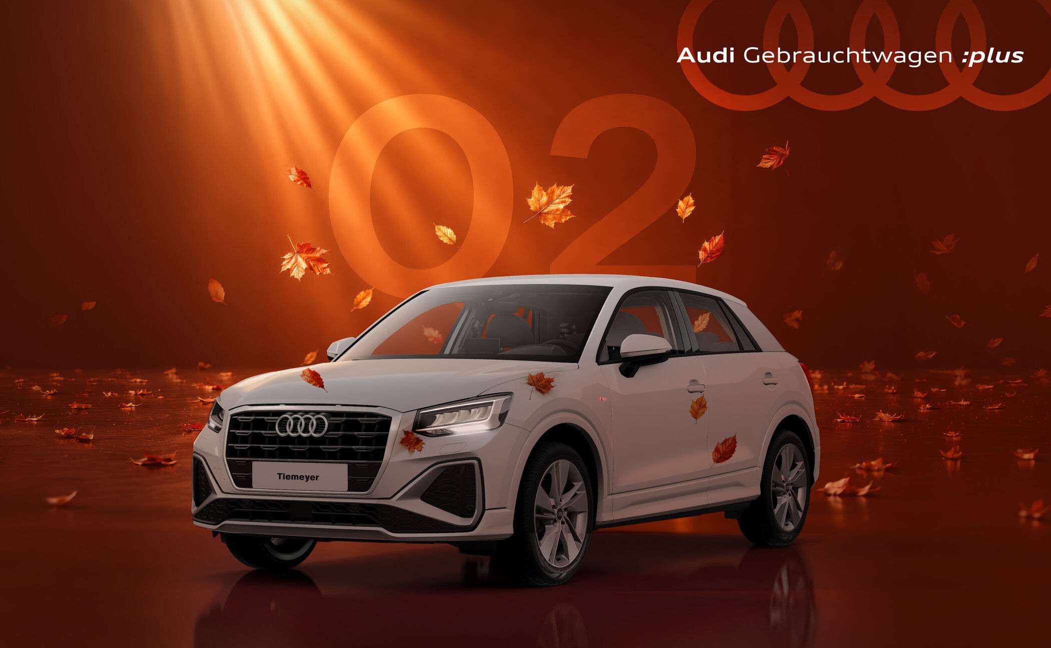 Der Audi Q2