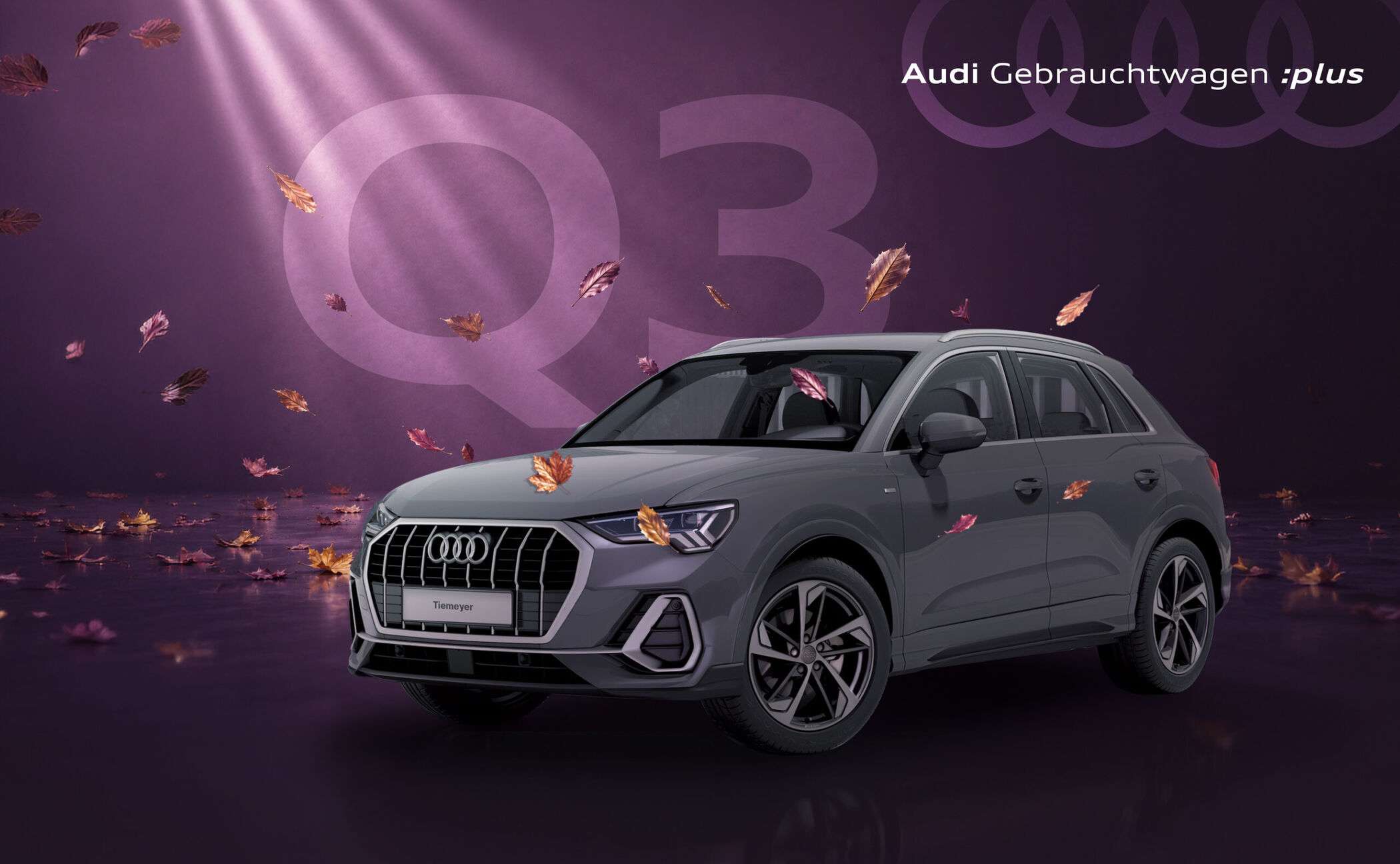 Der Audi Q3