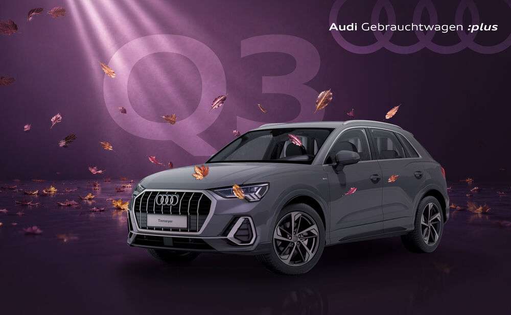 Der Audi Q3