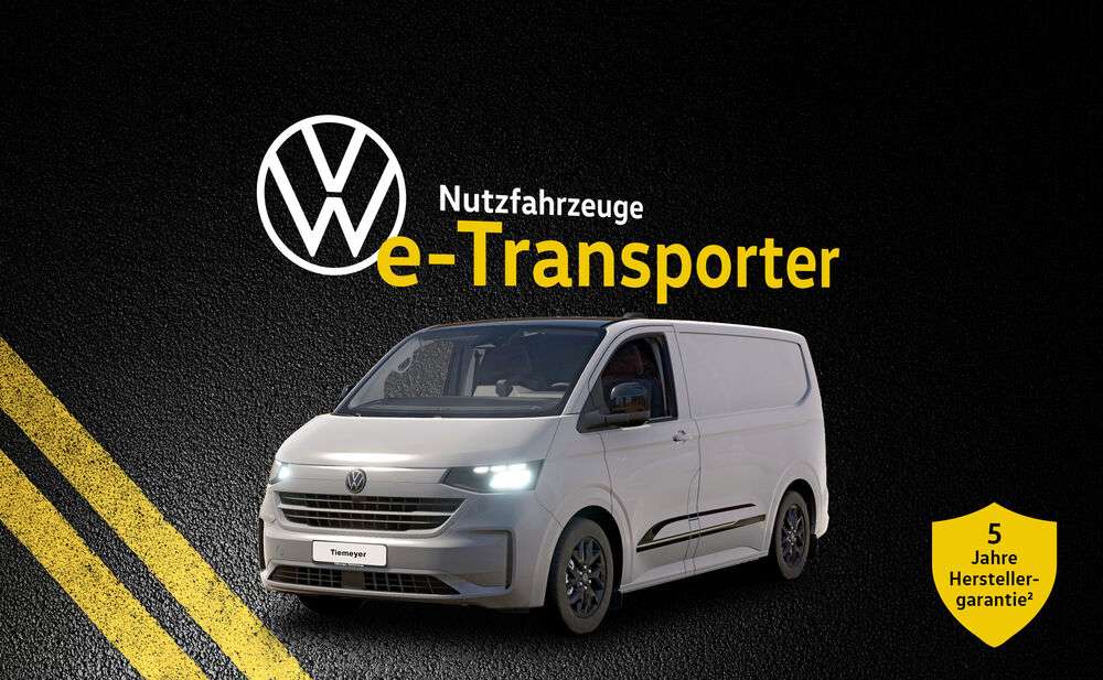 Der e-Transporter