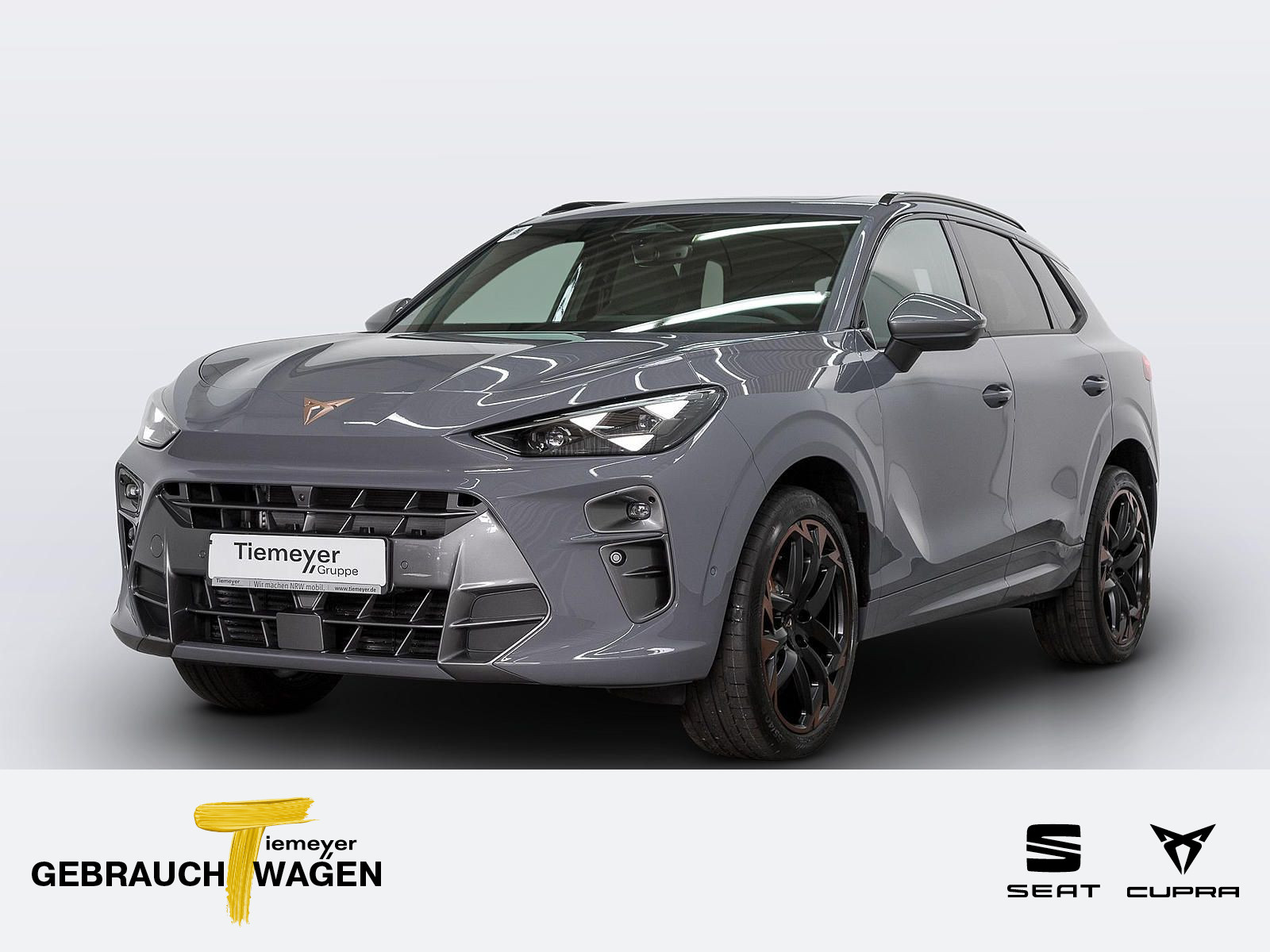 Cupra Terramar 2.0 TSI