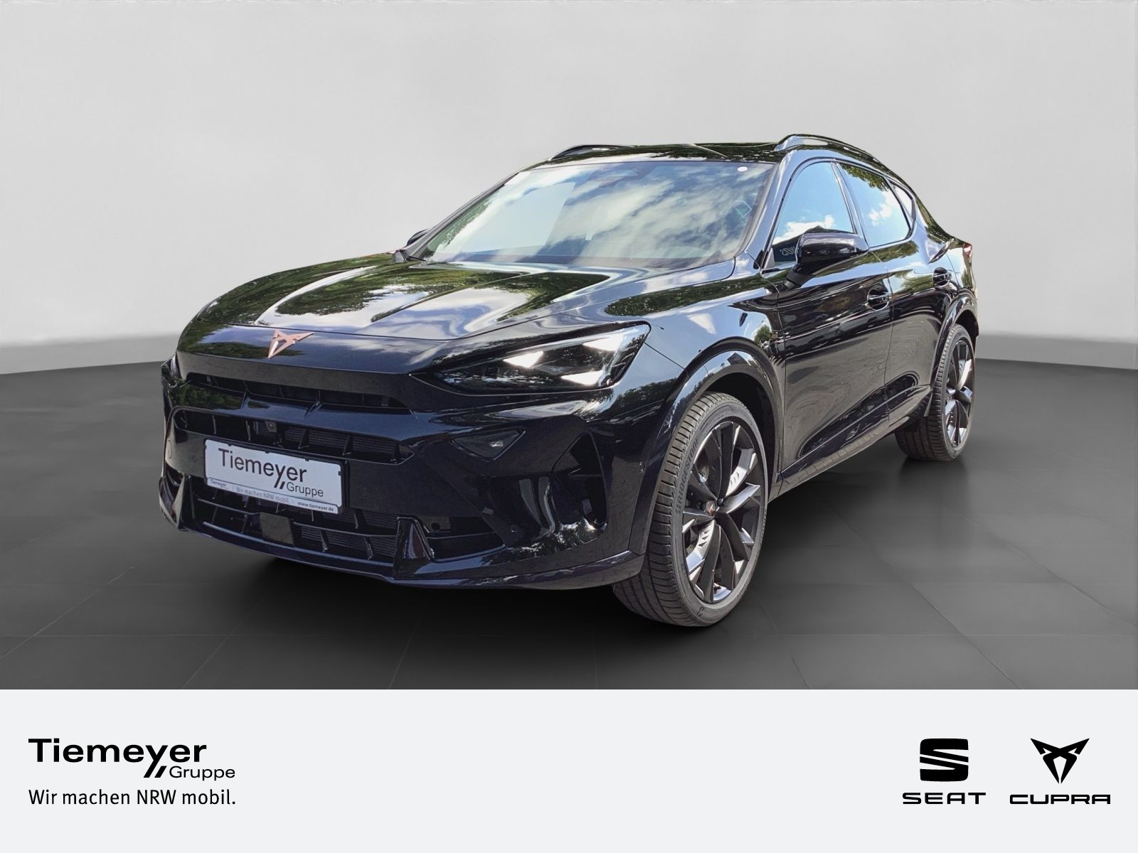 Cupra Formentor 2.0 TSI