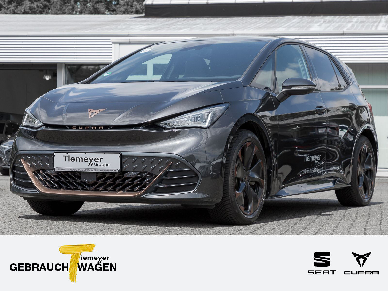 Cupra Born 360 ALLWETTER