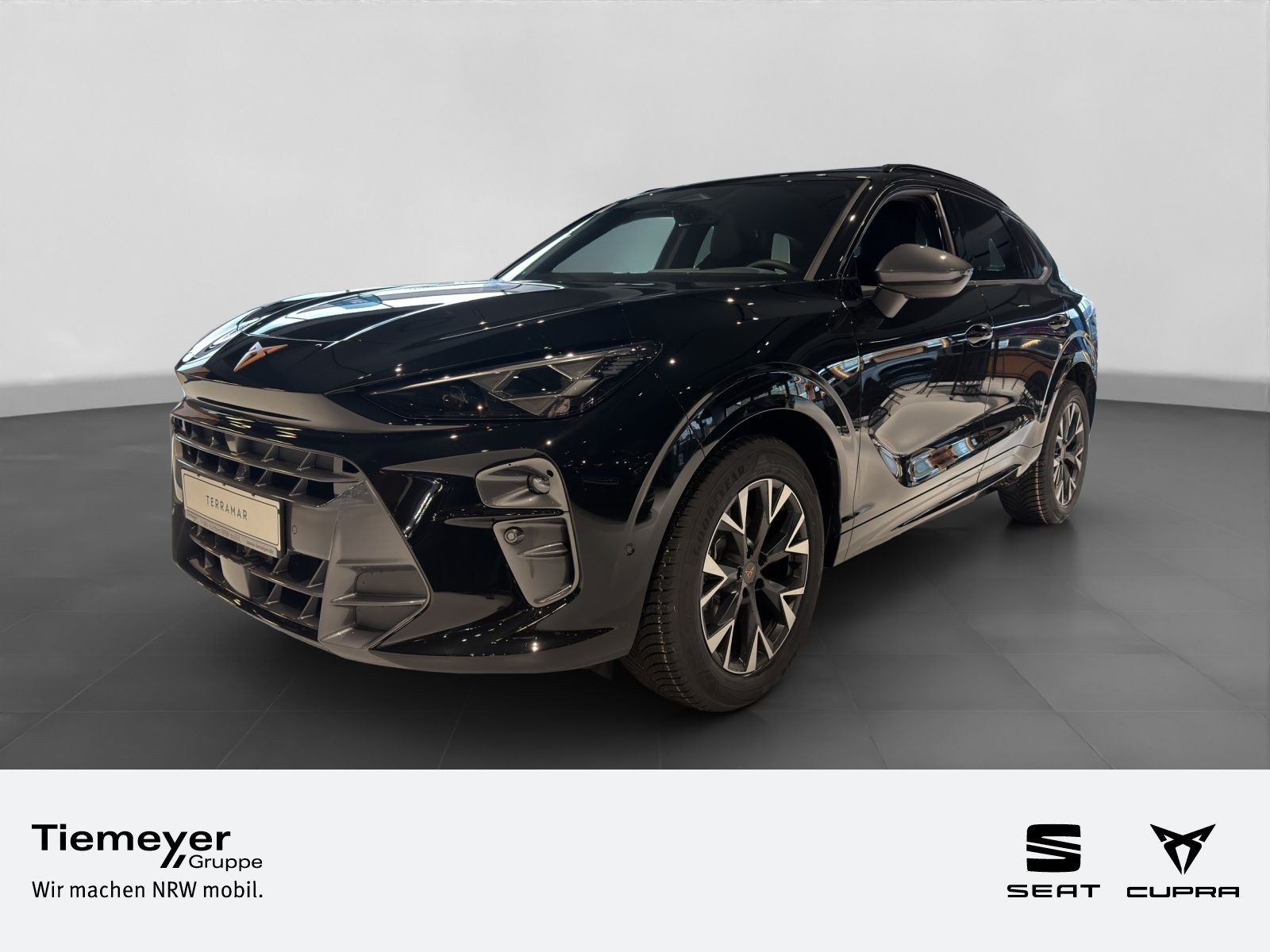Cupra Terramar 1.5 eTSI