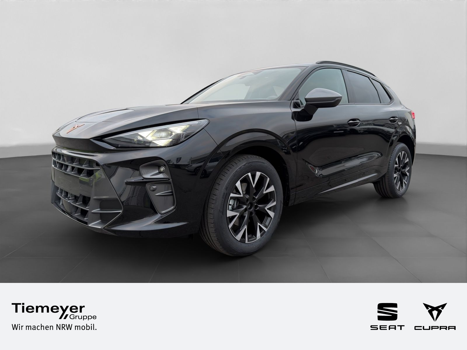 Cupra Terramar 1.5 eTSI