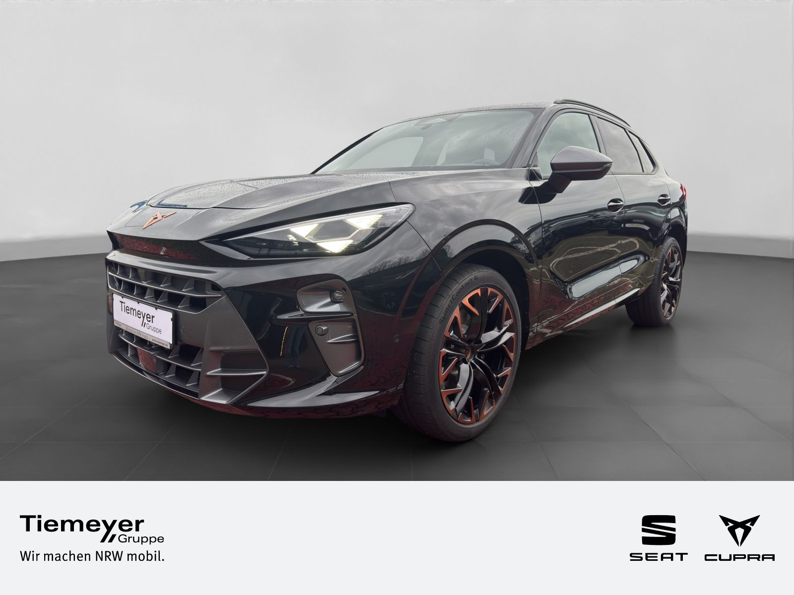 Cupra Terramar 2.0 TSI