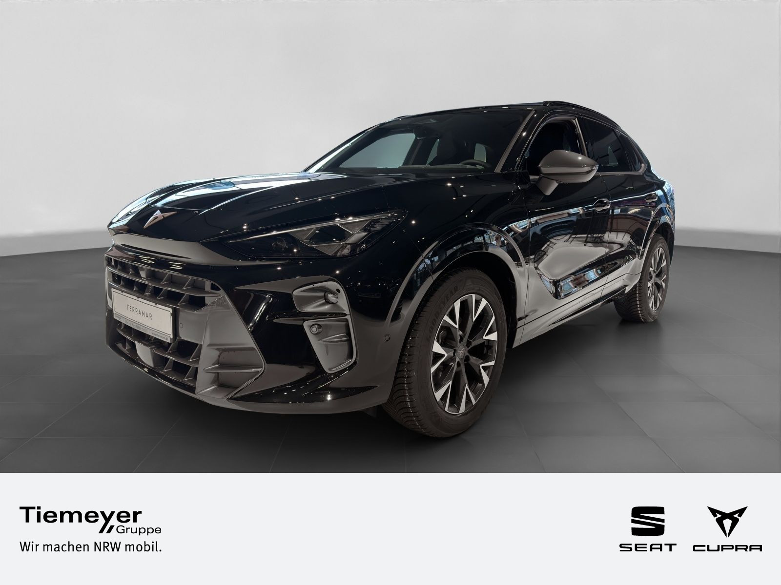Cupra Terramar 1.5 eTSI